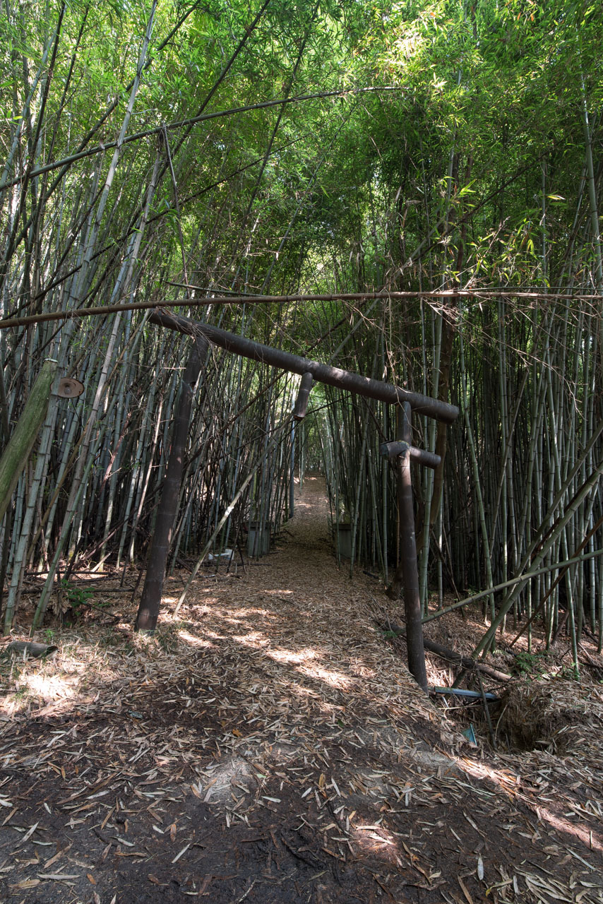 知行寺山稲荷大権現│廃景