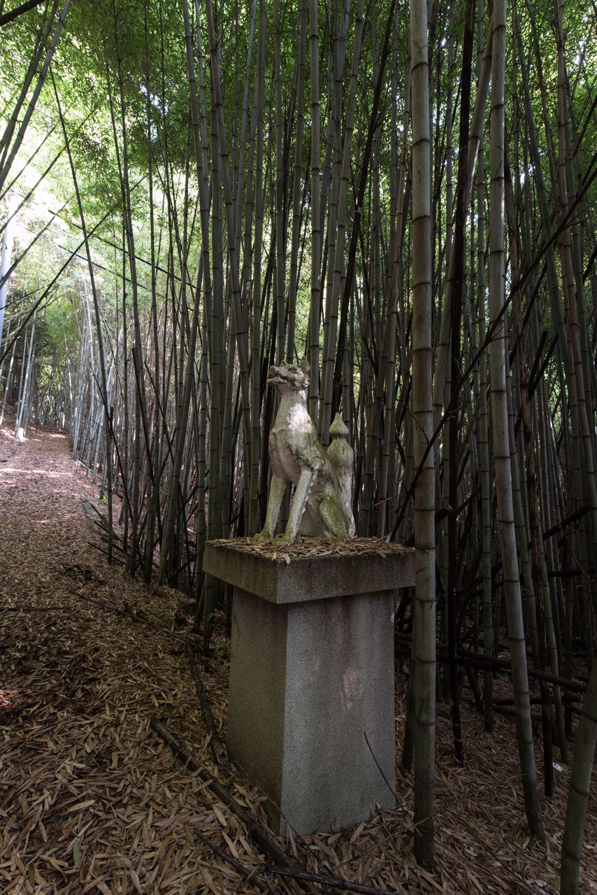 知行寺山稲荷大権現│廃景