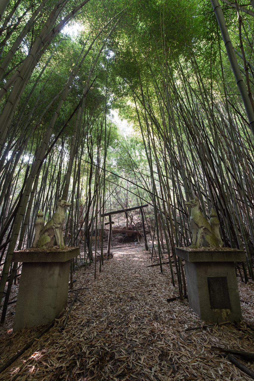 知行寺山稲荷大権現│廃景