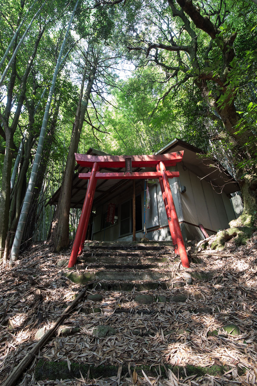 知行寺山稲荷大権現│廃景