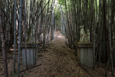 知行寺山稲荷大権現