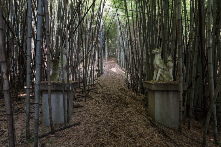 知行寺山稲荷大権現│廃景